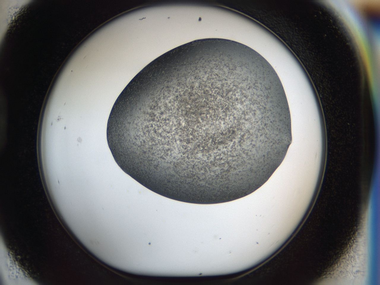 04i1_D9_ImagerDefaults_6.jpg