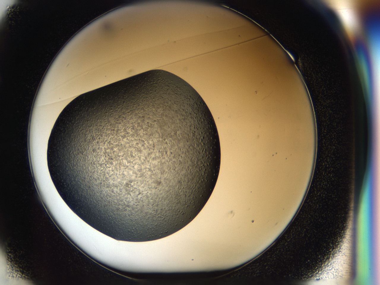 04i1_E1_ImagerDefaults_6.jpg