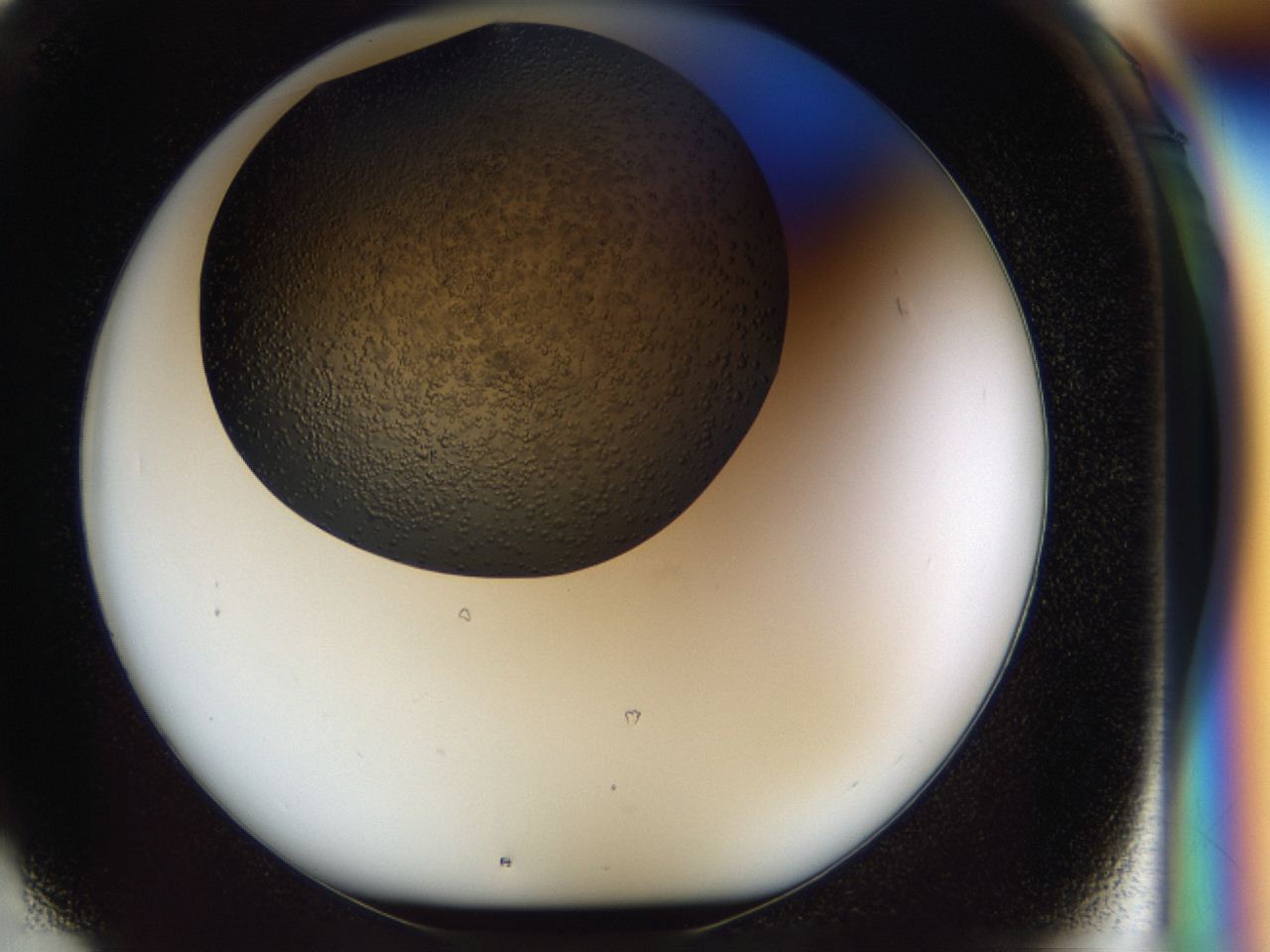 04i1_F1_ImagerDefaults_6.jpg