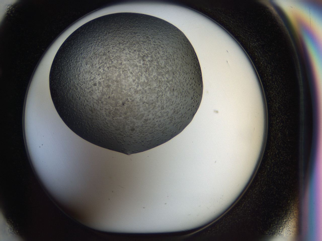 04i1_F5_ImagerDefaults_6.jpg