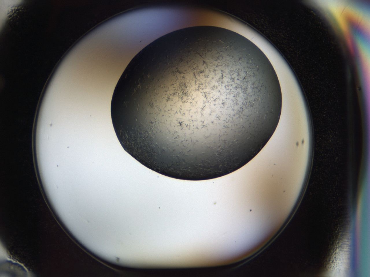 04i1_F10_ImagerDefaults_8.jpg