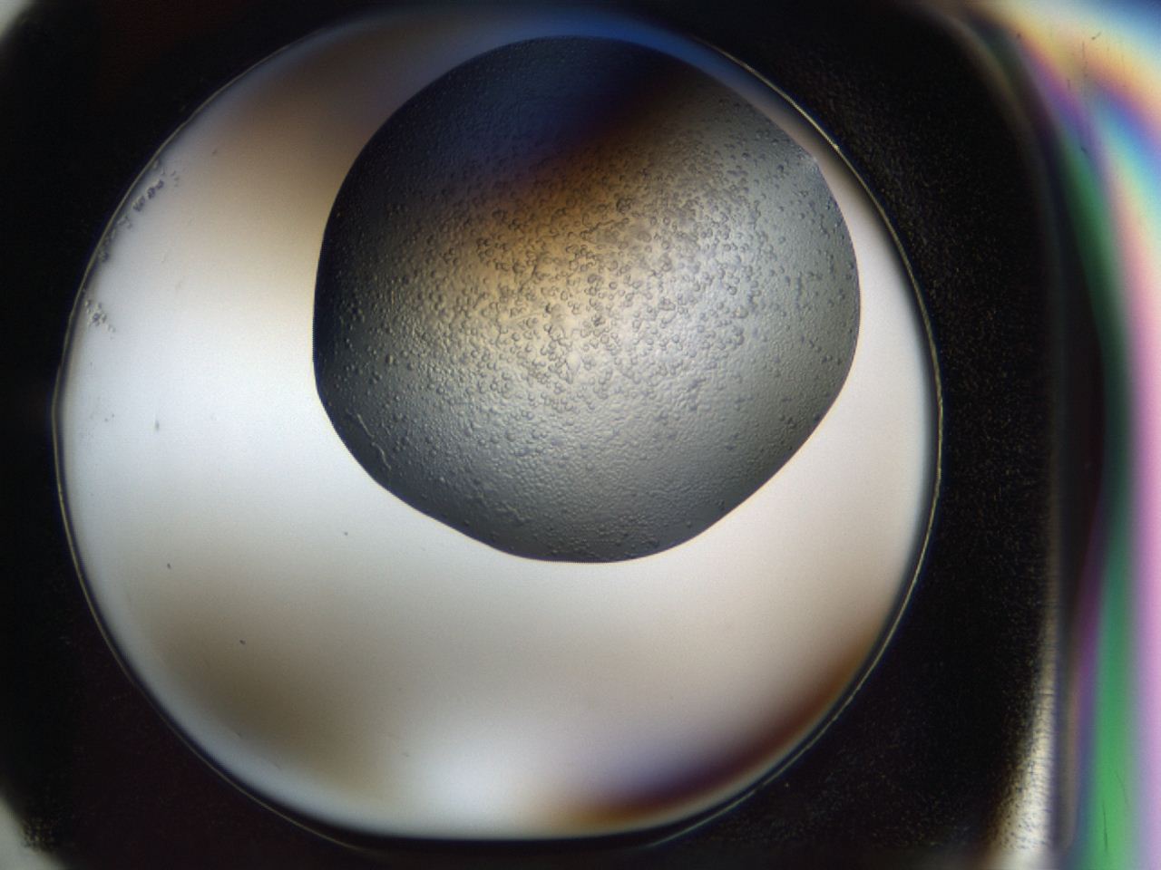 04i1_G1_ImagerDefaults_6.jpg