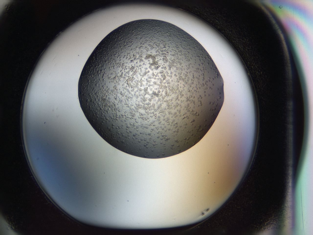 04i1_G5_ImagerDefaults_7.jpg