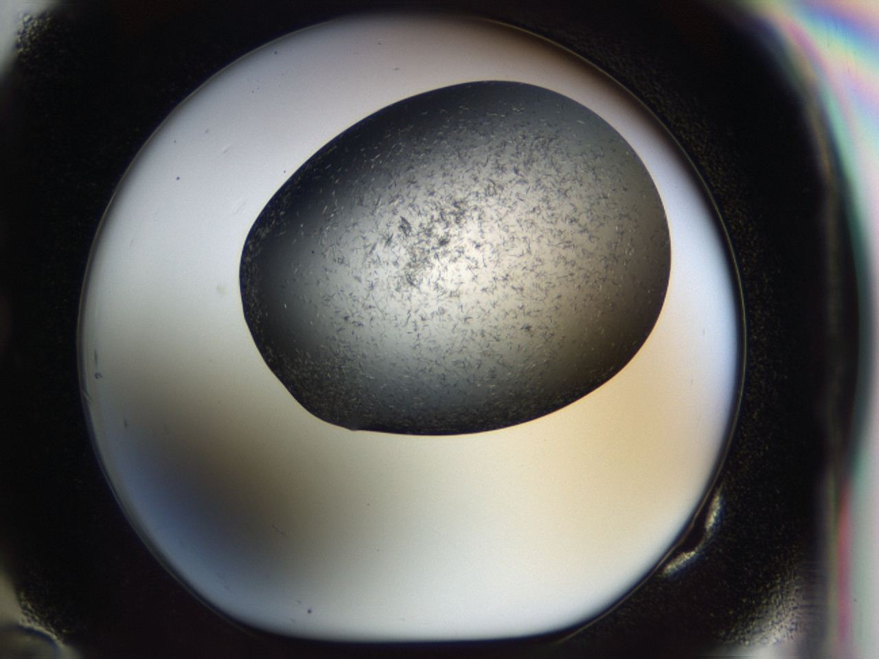 04i1_G10_ImagerDefaults_8.jpg