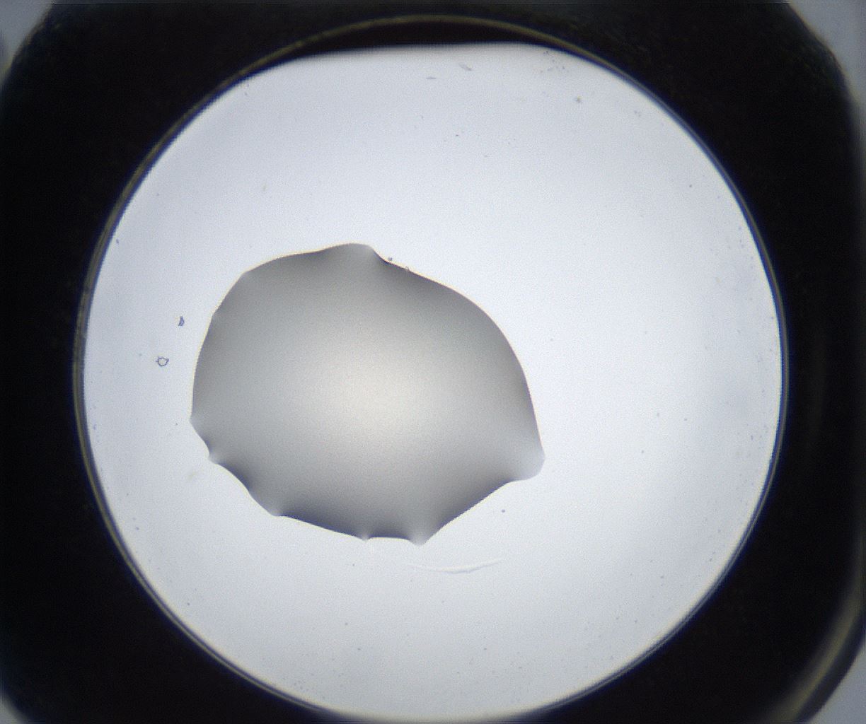 folderID316_plateID3316_batchID19949_wellNum2_profileID1_d2_r292017_ef.jpg