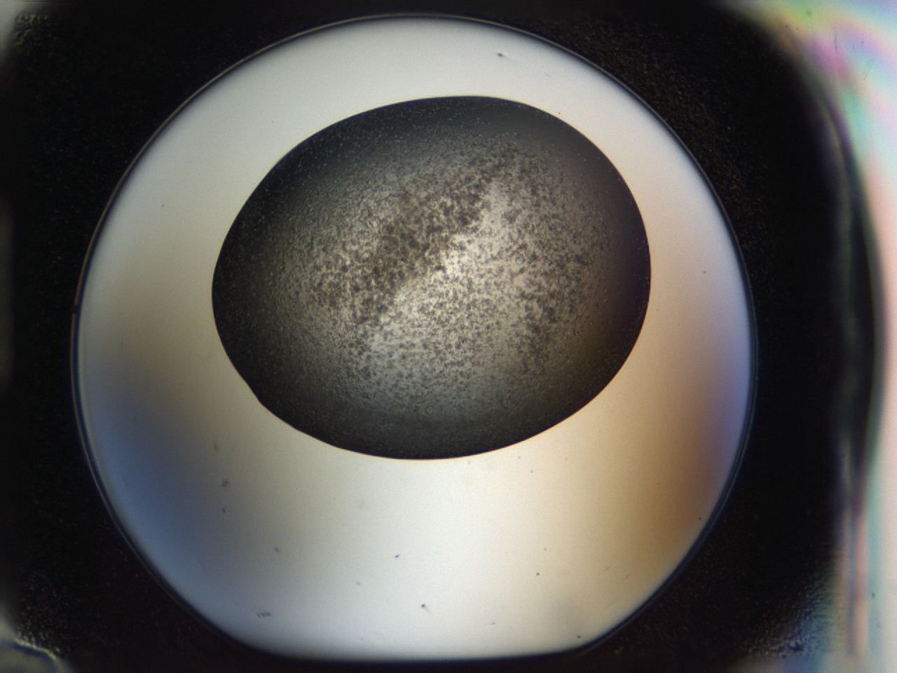 04i1_H10_ImagerDefaults_6.jpg