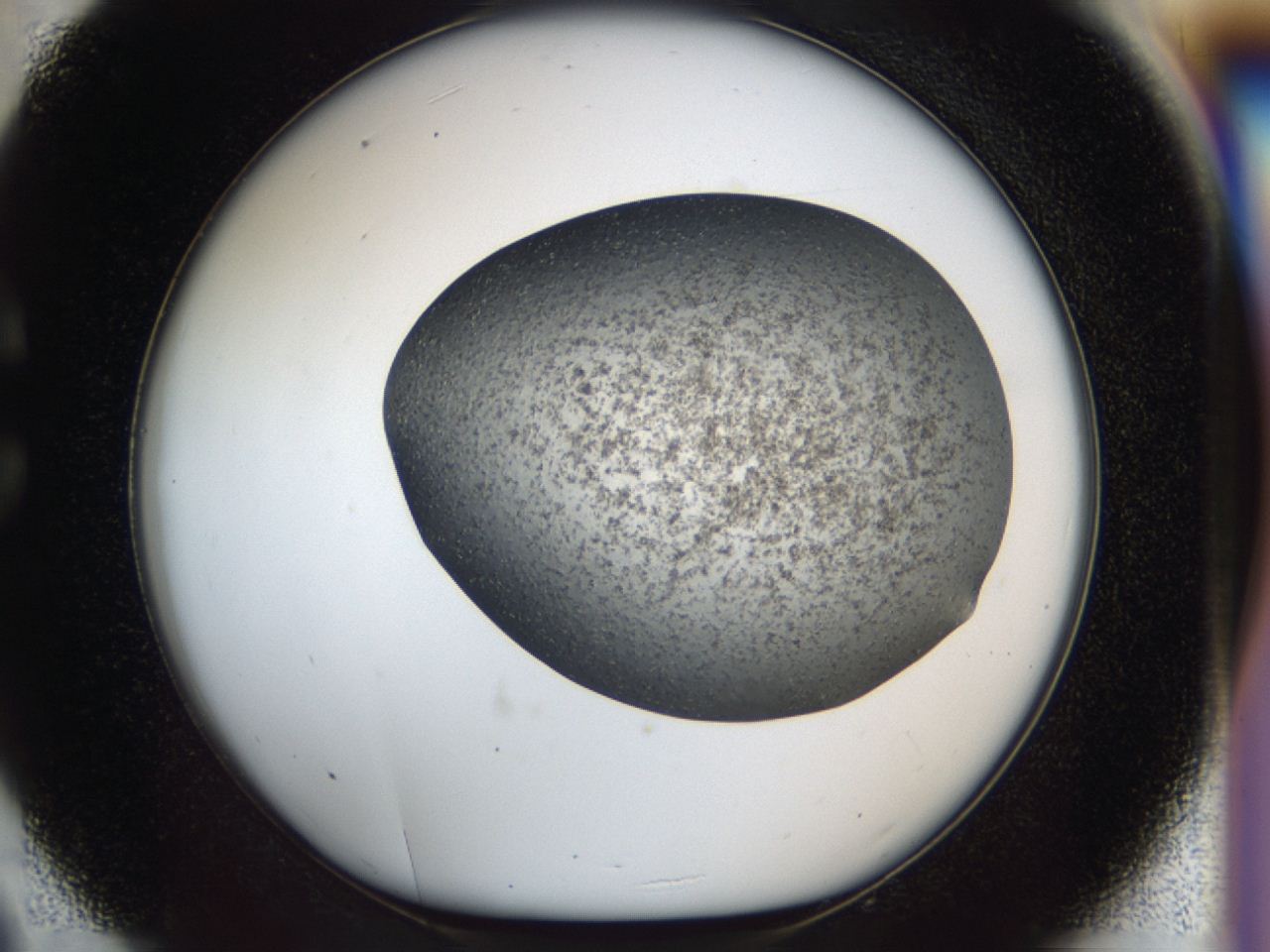 04i1_C9_ImagerDefaults_6.jpg