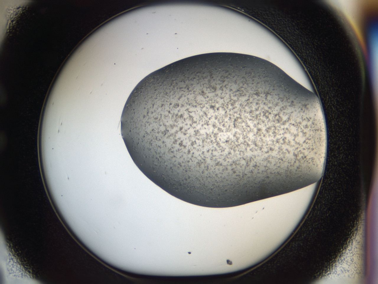 04i1_C8_ImagerDefaults_6.jpg