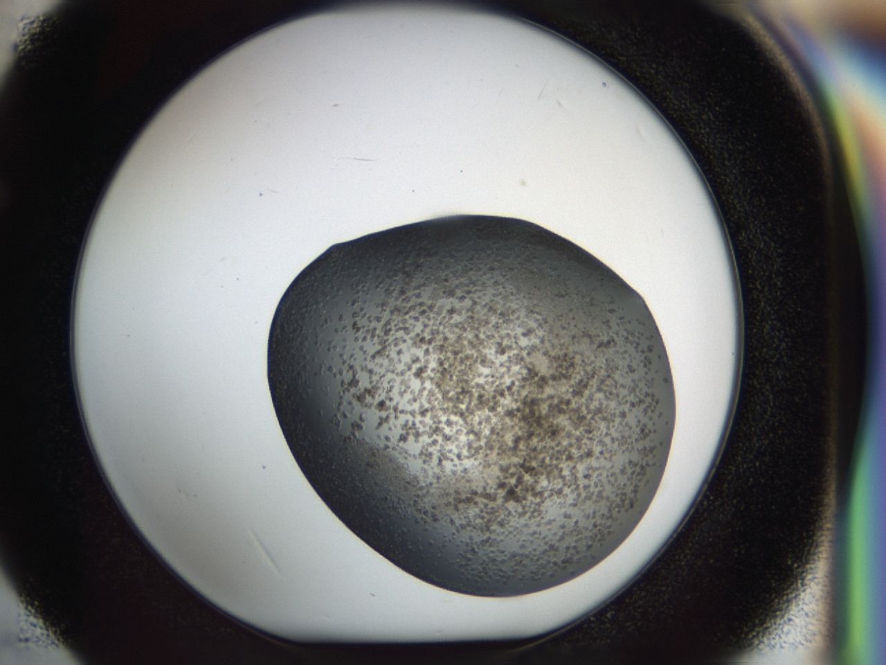 04i2_E4_ImagerDefaults_6.jpg