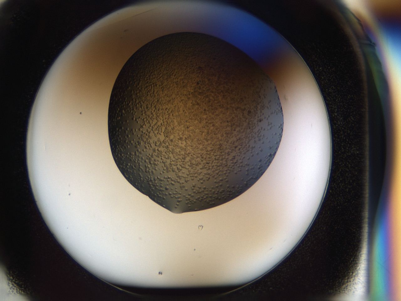 04i2_F1_ImagerDefaults_7.jpg