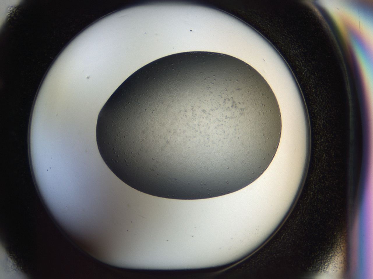 04i2_F5_ImagerDefaults_8.jpg