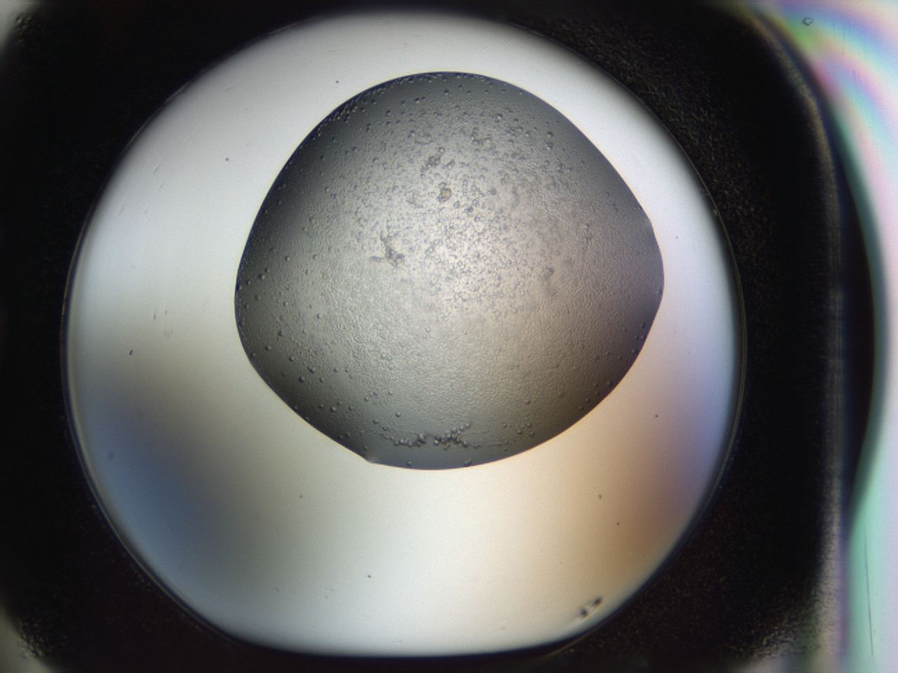 04i2_G5_ImagerDefaults_8.jpg
