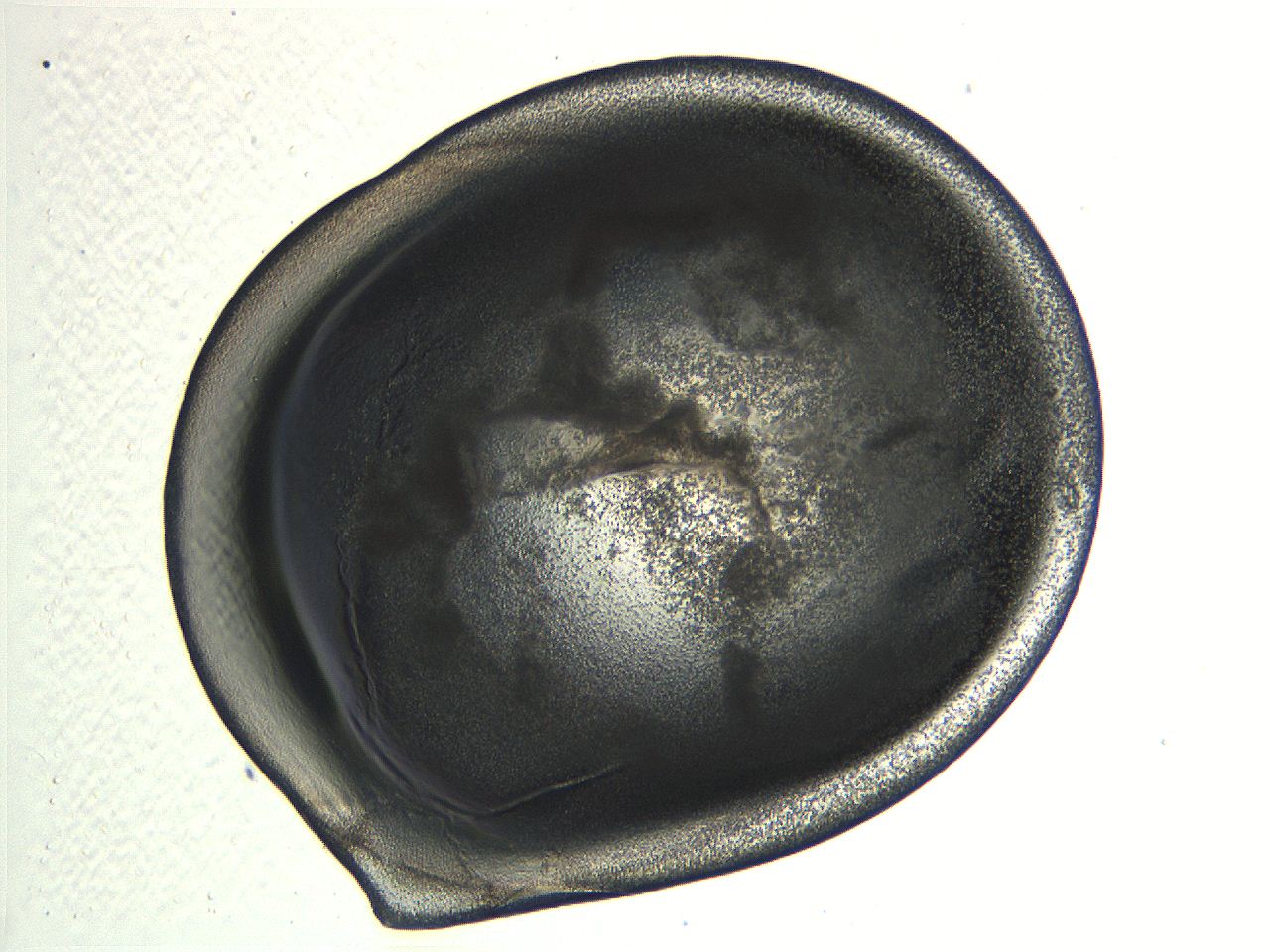 04i3_E1_ImagerDefaults_3.jpg