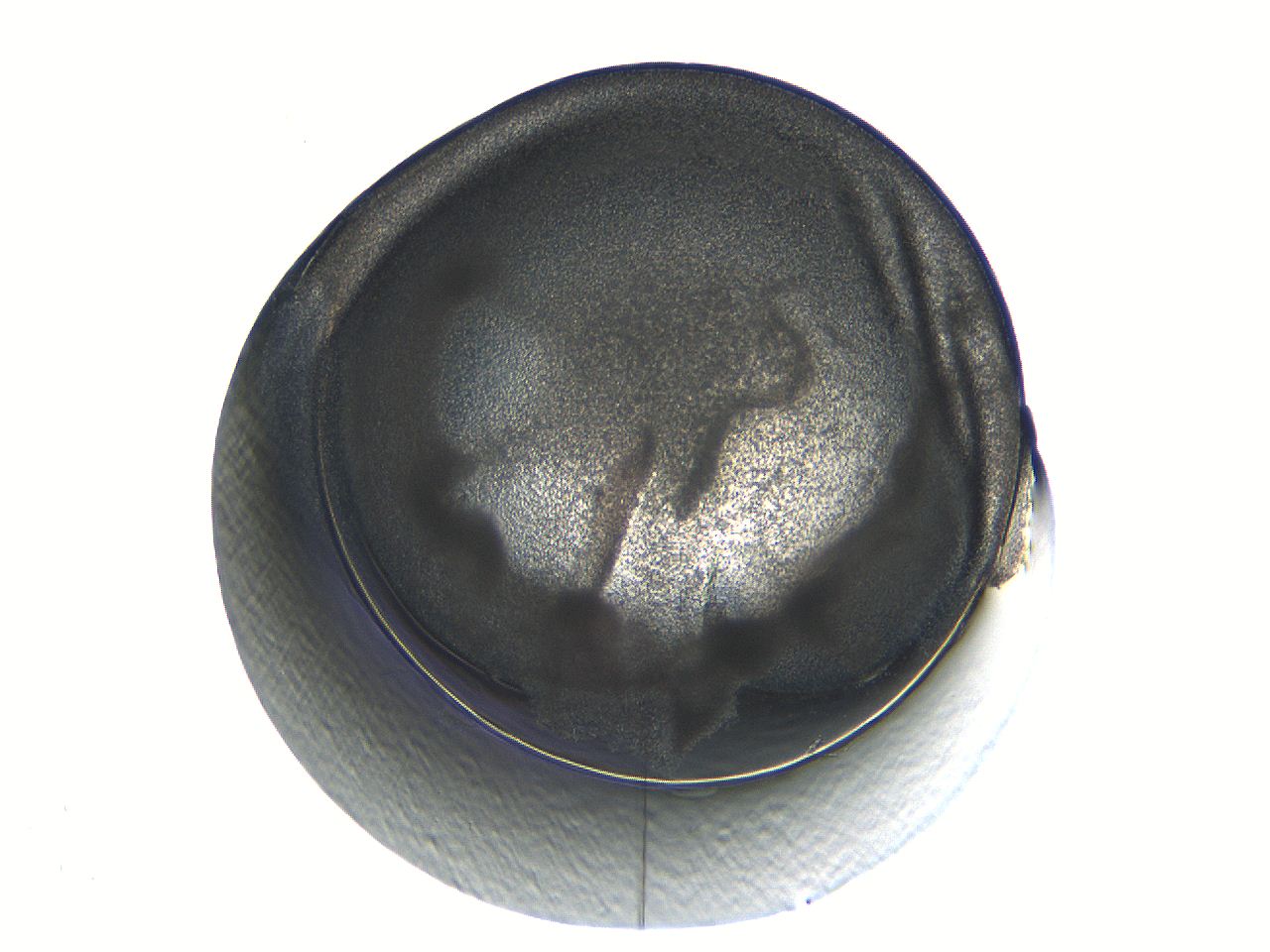 04i3_E4_ImagerDefaults_3.jpg