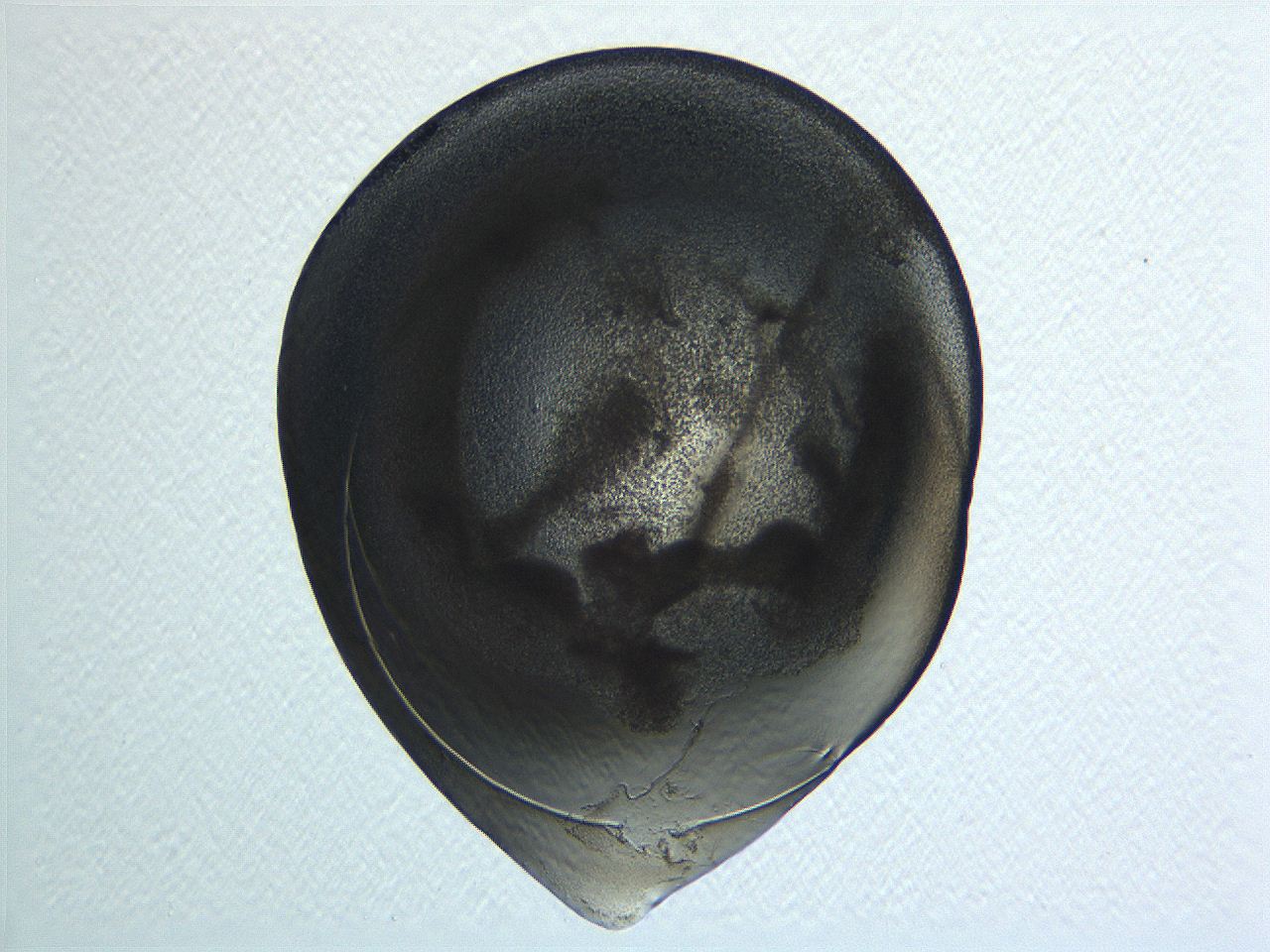 04i3_E2_ImagerDefaults_3.jpg