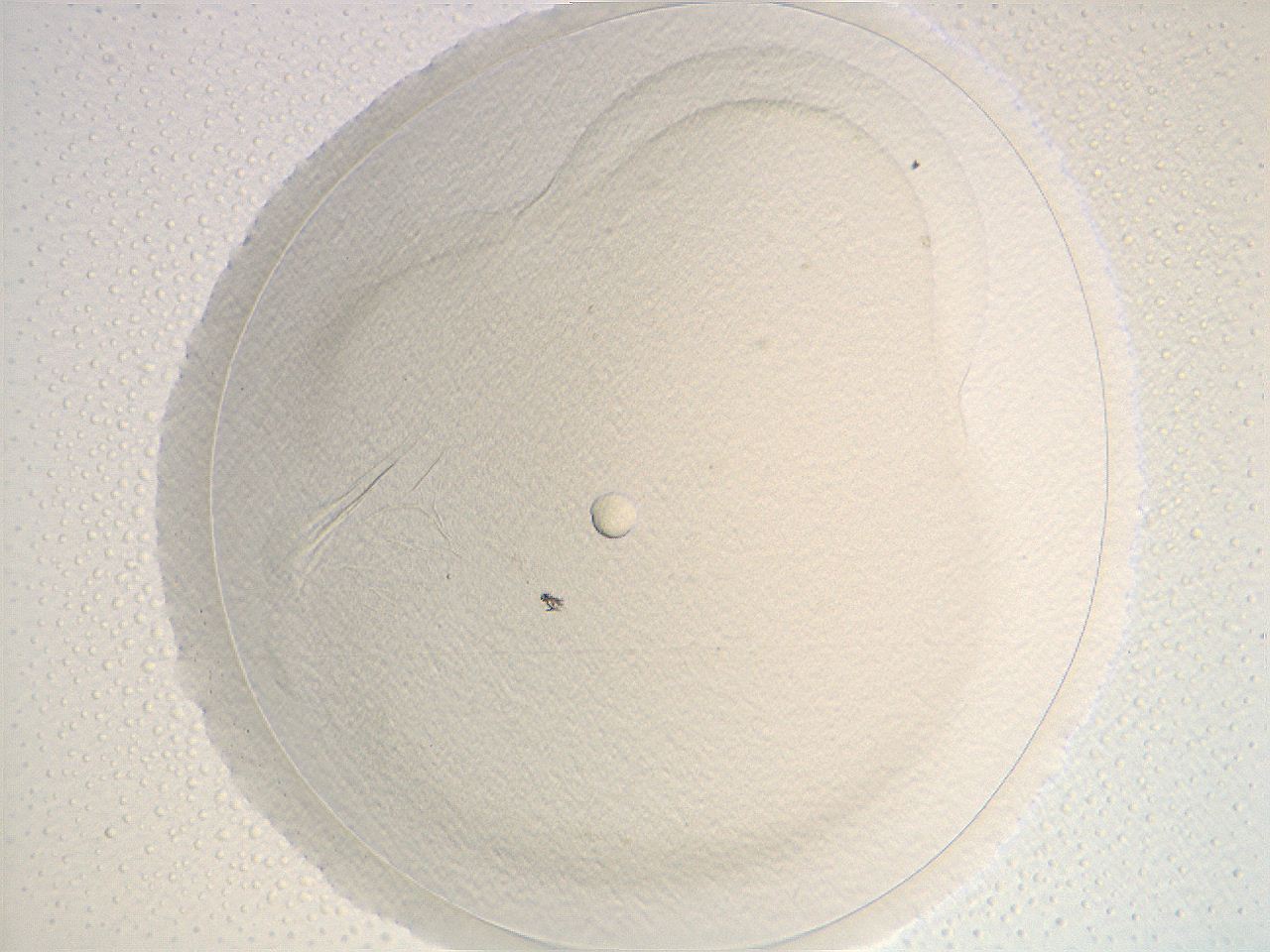 04i3_B10_ImagerDefaults_0.jpg