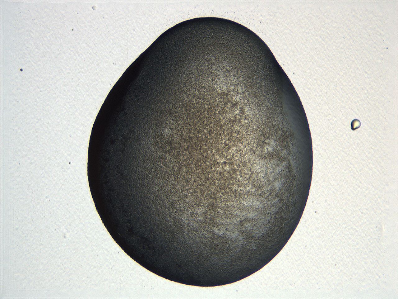 04i3_B11_ImagerDefaults_3.jpg