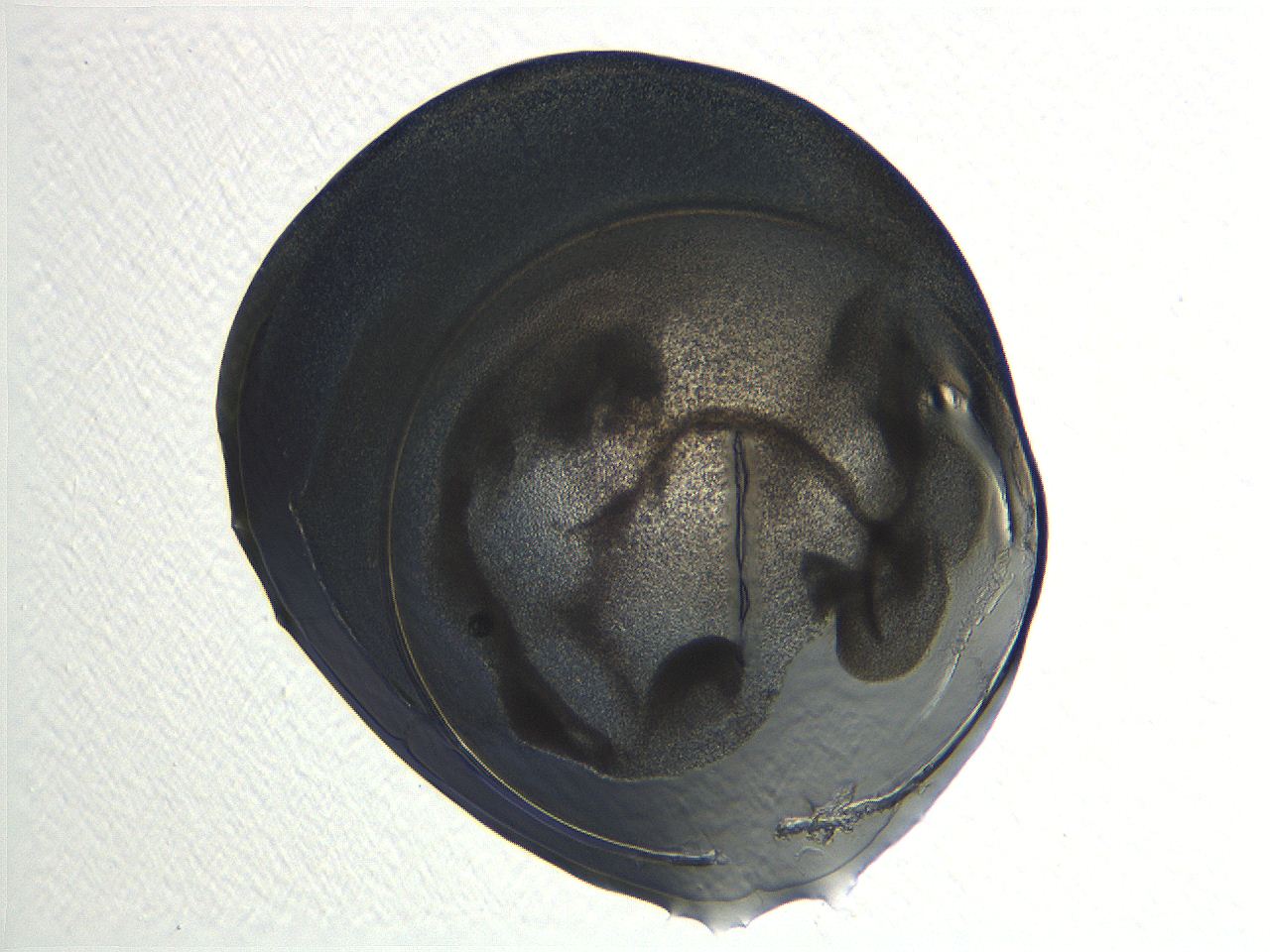 04i3_E7_ImagerDefaults_3.jpg
