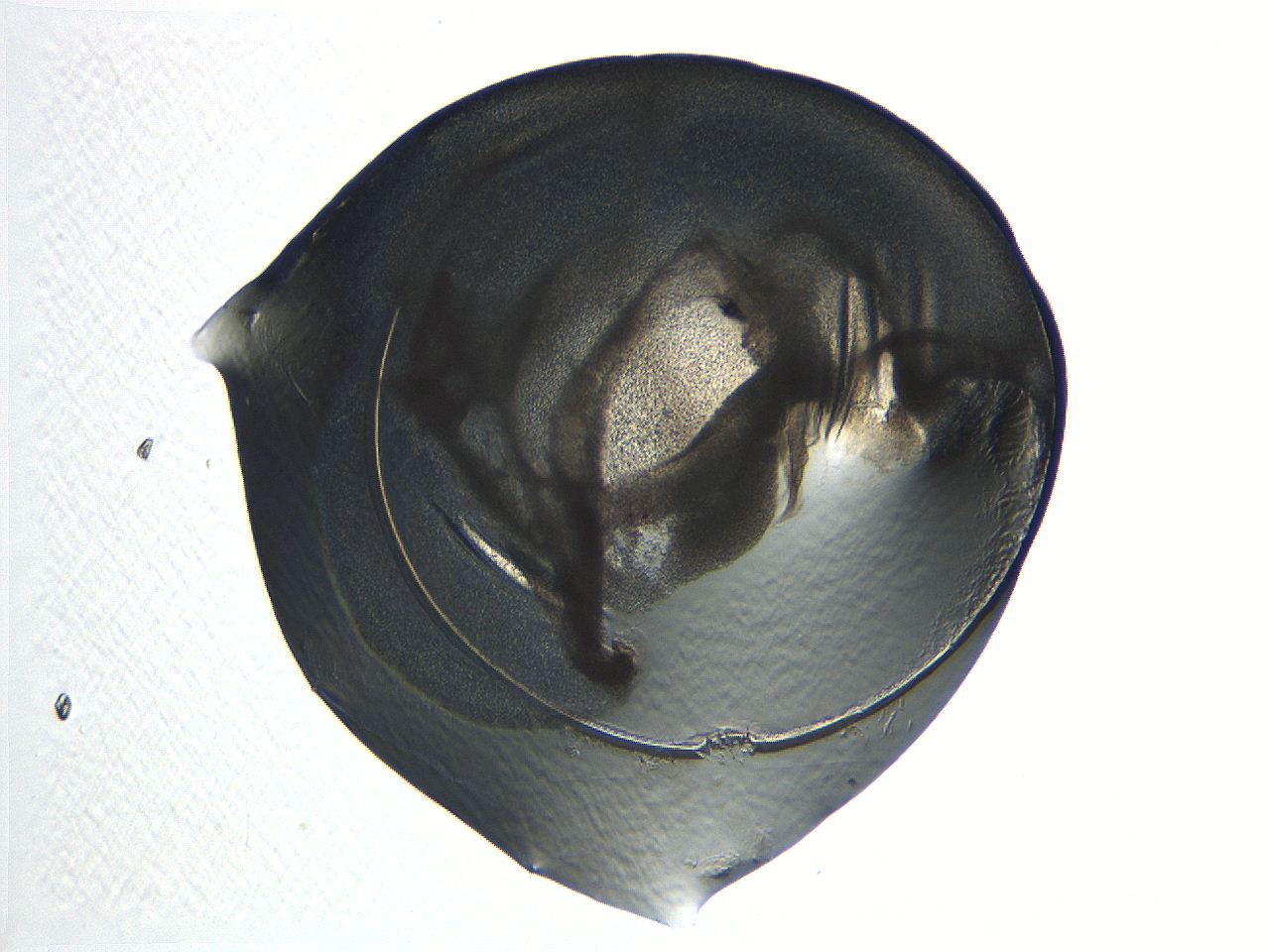 04i3_E8_ImagerDefaults_3.jpg