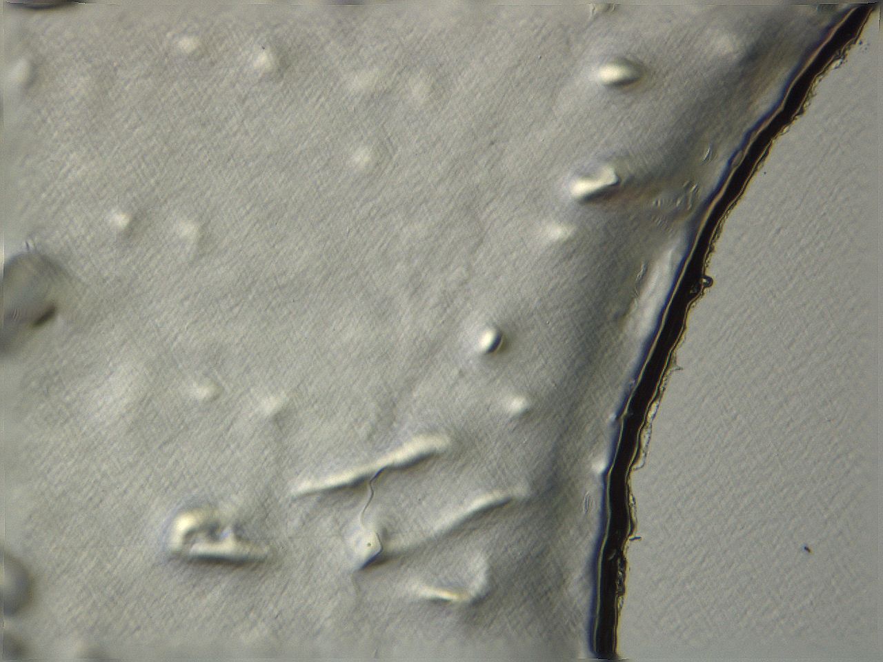 04i3_E9_ImagerDefaults_3.jpg