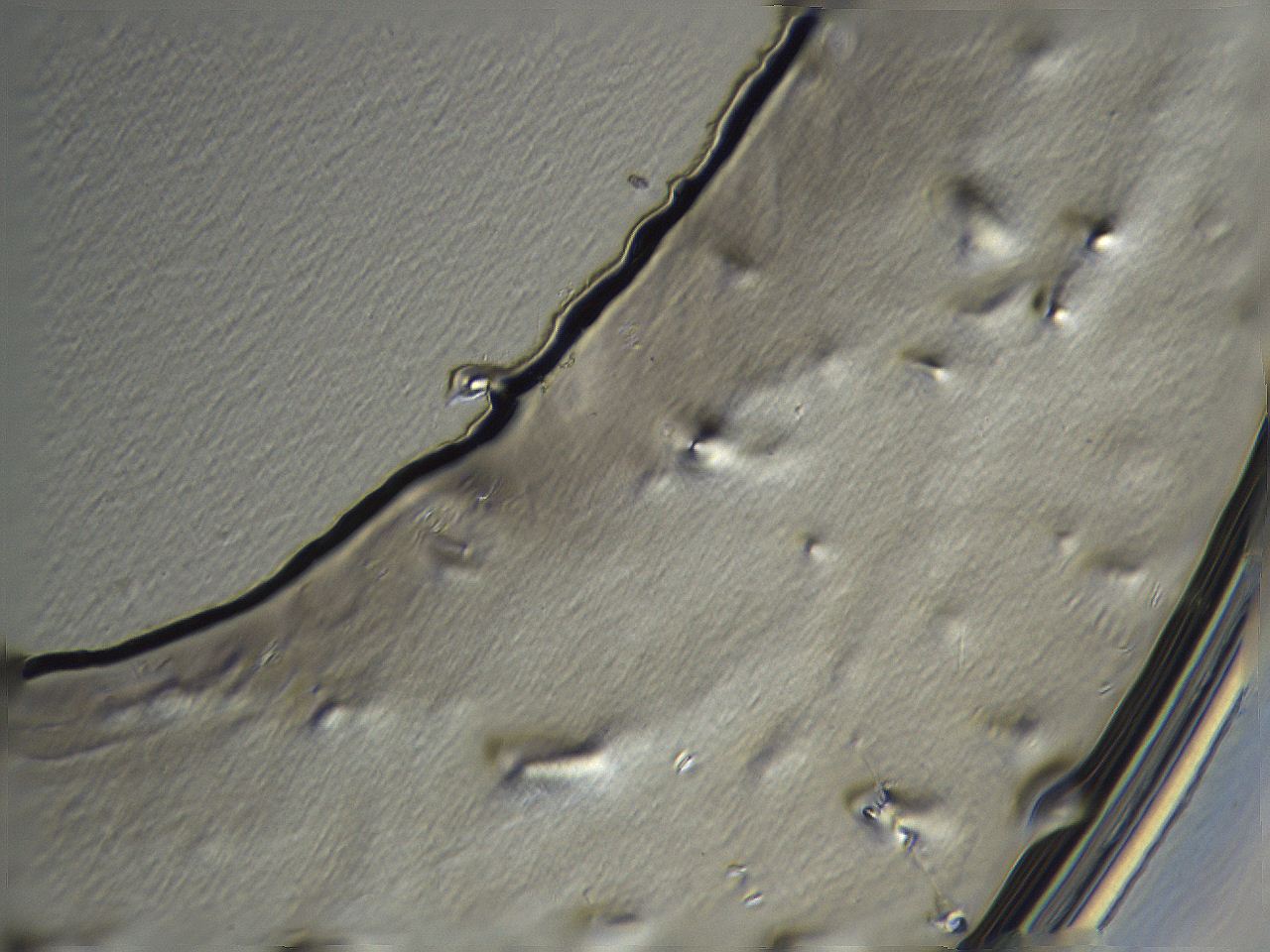 04i3_A11_ImagerDefaults_3.jpg