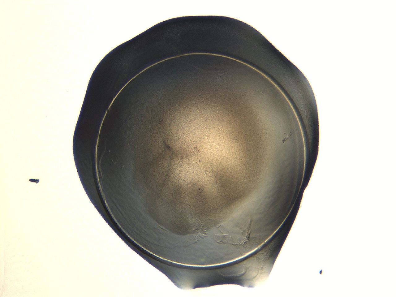 04i3_A10_ImagerDefaults_3.jpg