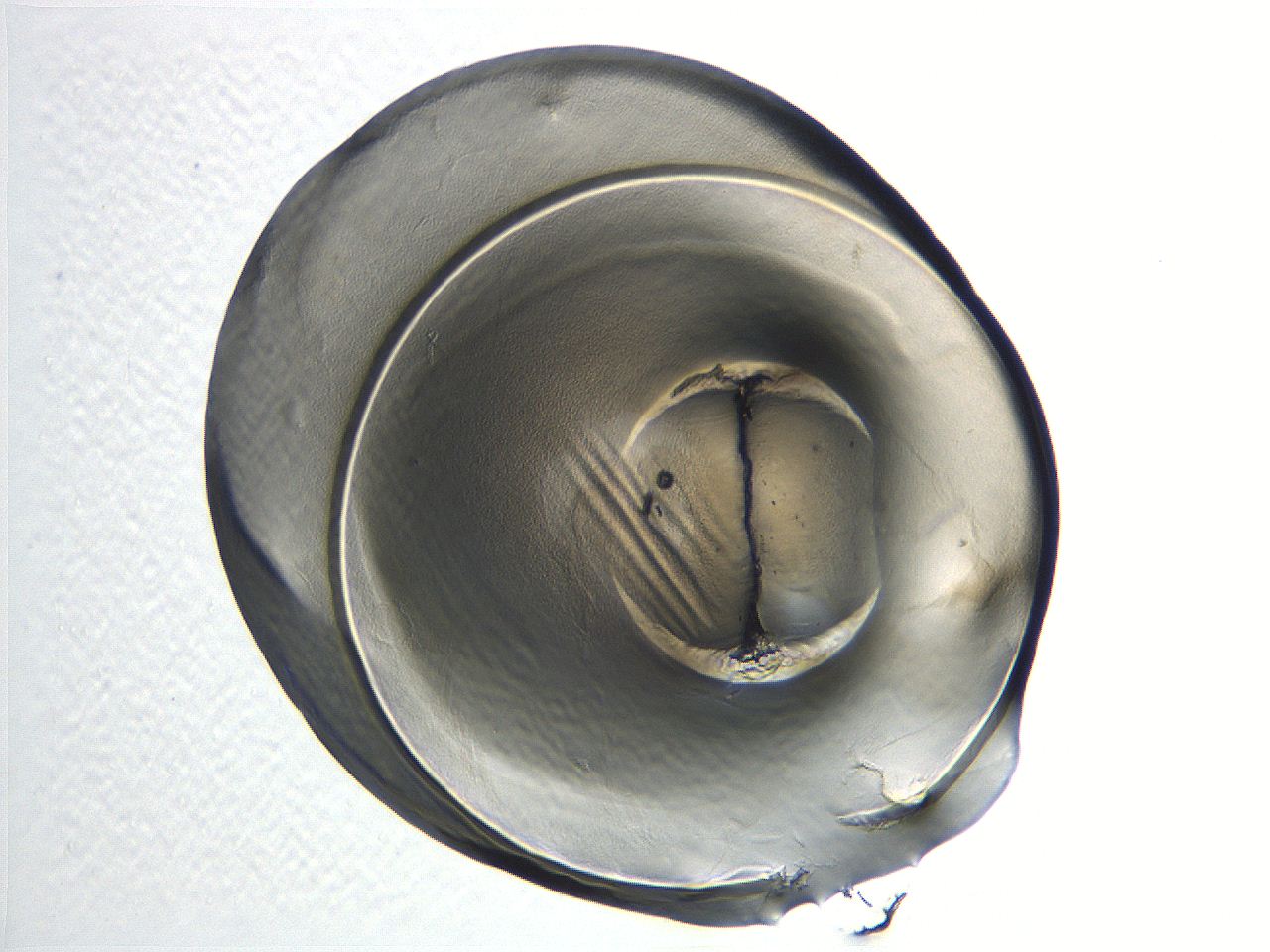 04i3_A7_ImagerDefaults_3.jpg