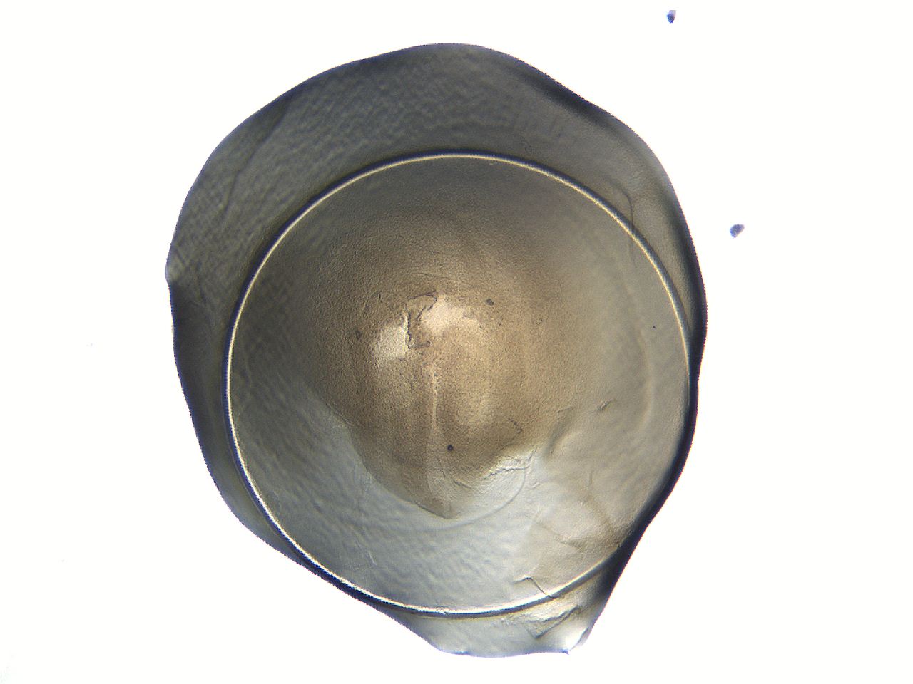 04i3_A6_ImagerDefaults_3.jpg