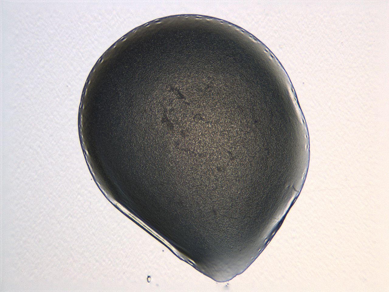 04i3_C2_ImagerDefaults_3.jpg
