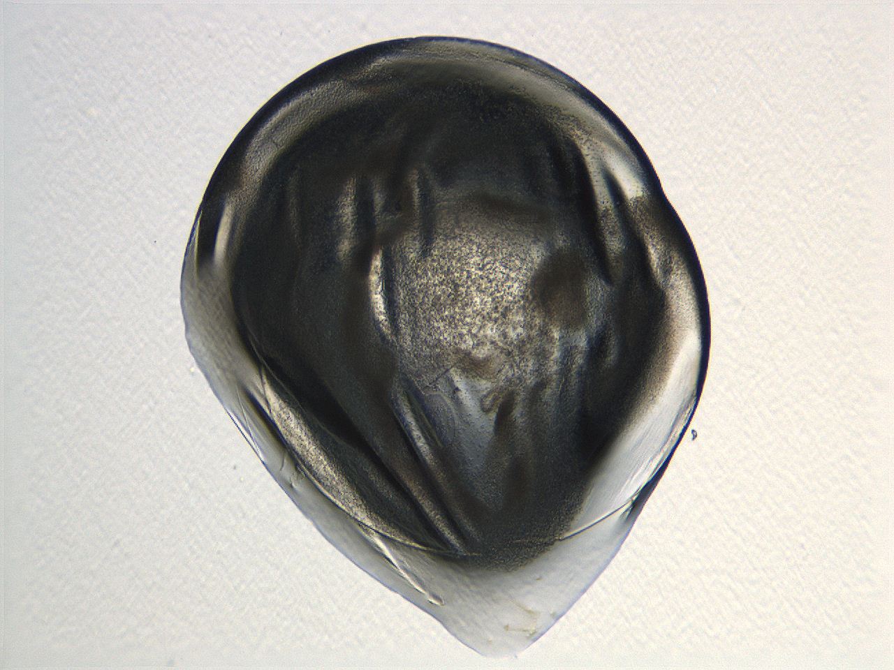 04i3_C3_ImagerDefaults_3.jpg
