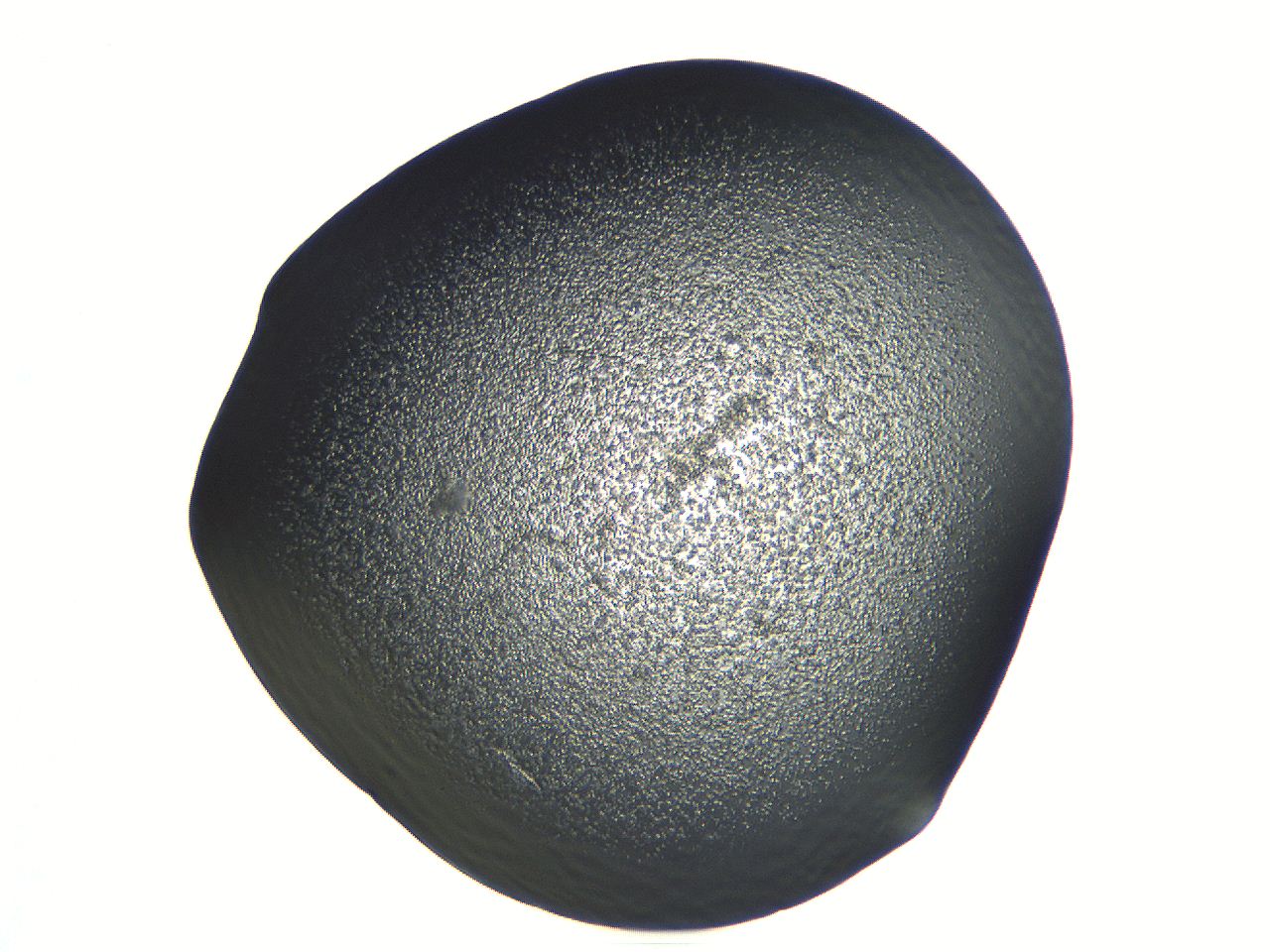 04i3_C4_ImagerDefaults_0.jpg