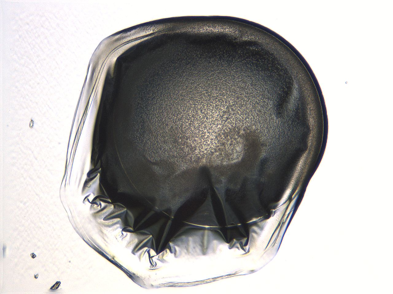 04i3_C6_ImagerDefaults_3.jpg