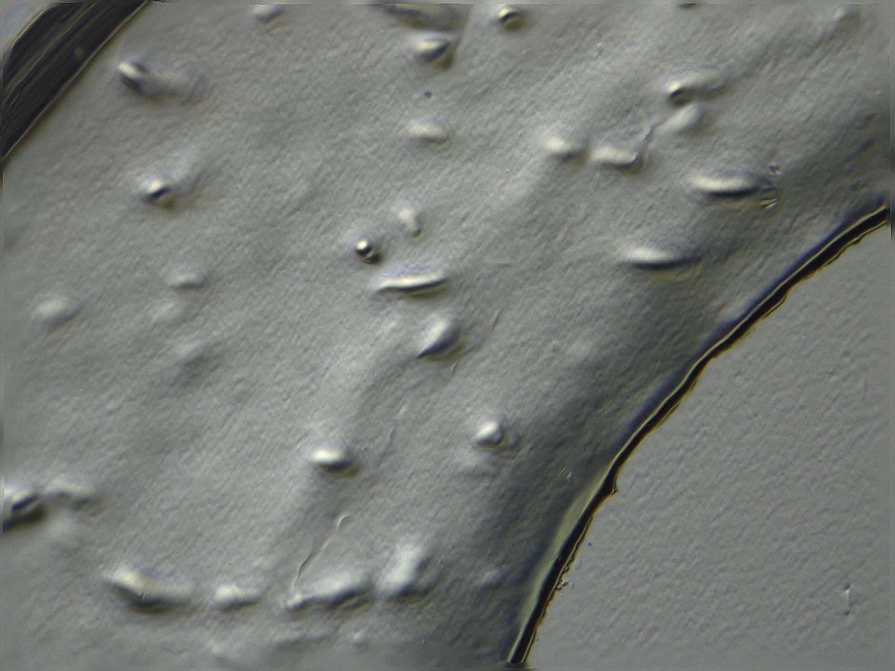 04i3_C8_ImagerDefaults_3.jpg