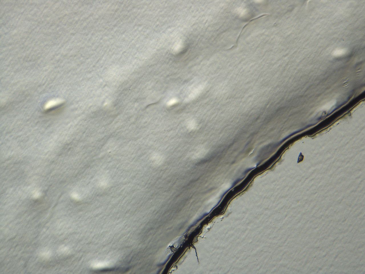04i3_C9_ImagerDefaults_3.jpg