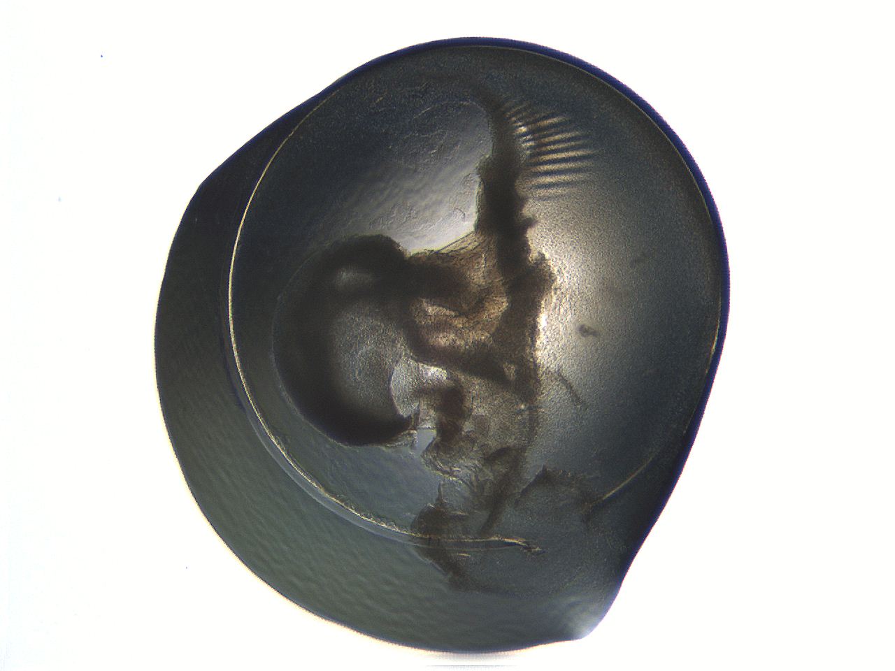 04i3_C10_ImagerDefaults_3.jpg