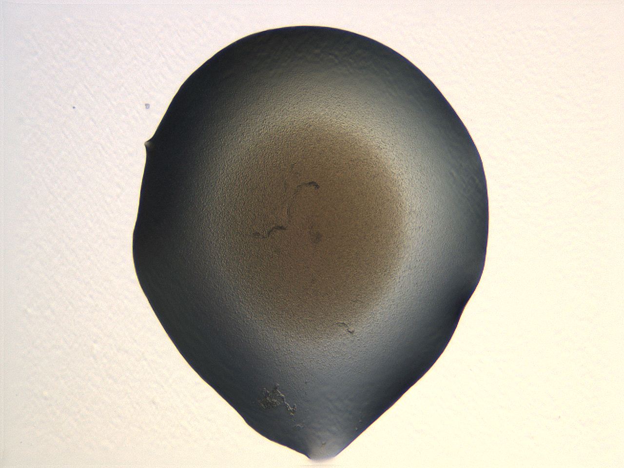 04i3_B6_ImagerDefaults_0.jpg