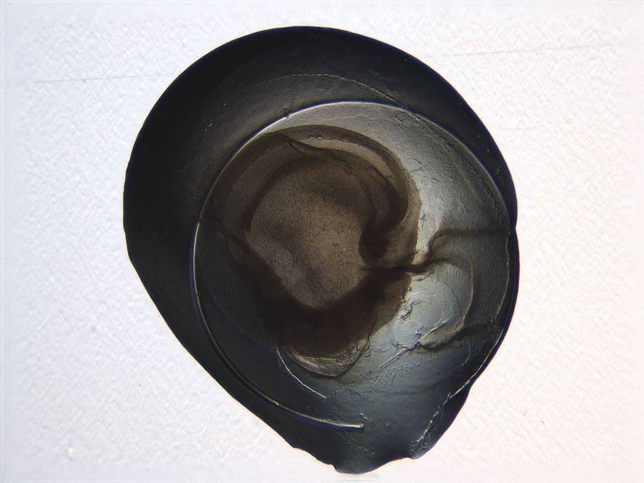 04i3_B5_ImagerDefaults_3.jpg