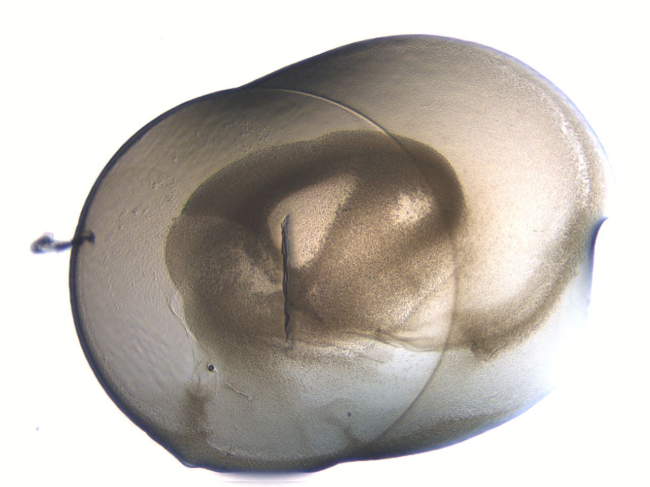 04i3_B1_ImagerDefaults_3.jpg
