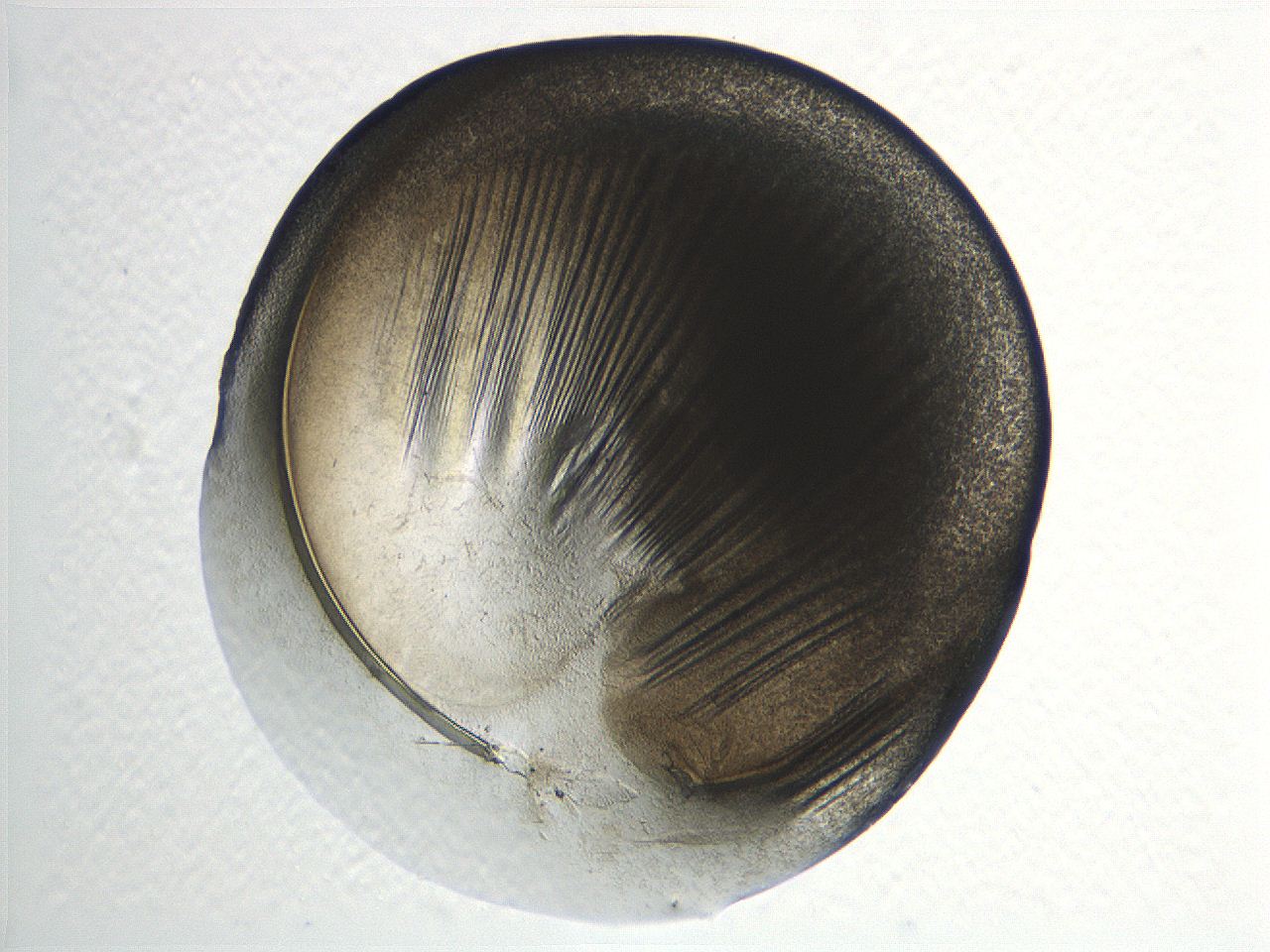 04i3_A12_ImagerDefaults_3.jpg