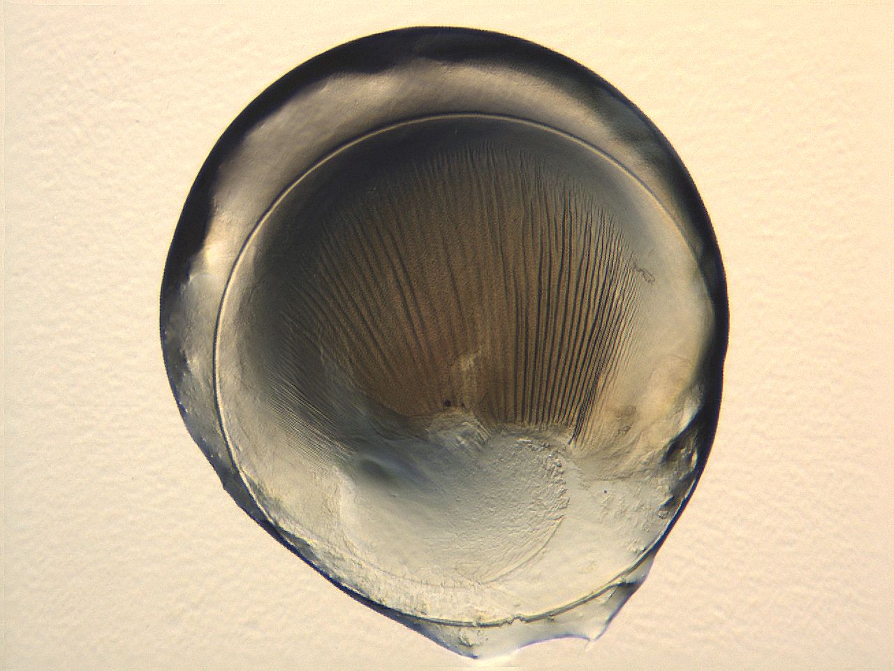 04i3_A5_ImagerDefaults_3.jpg