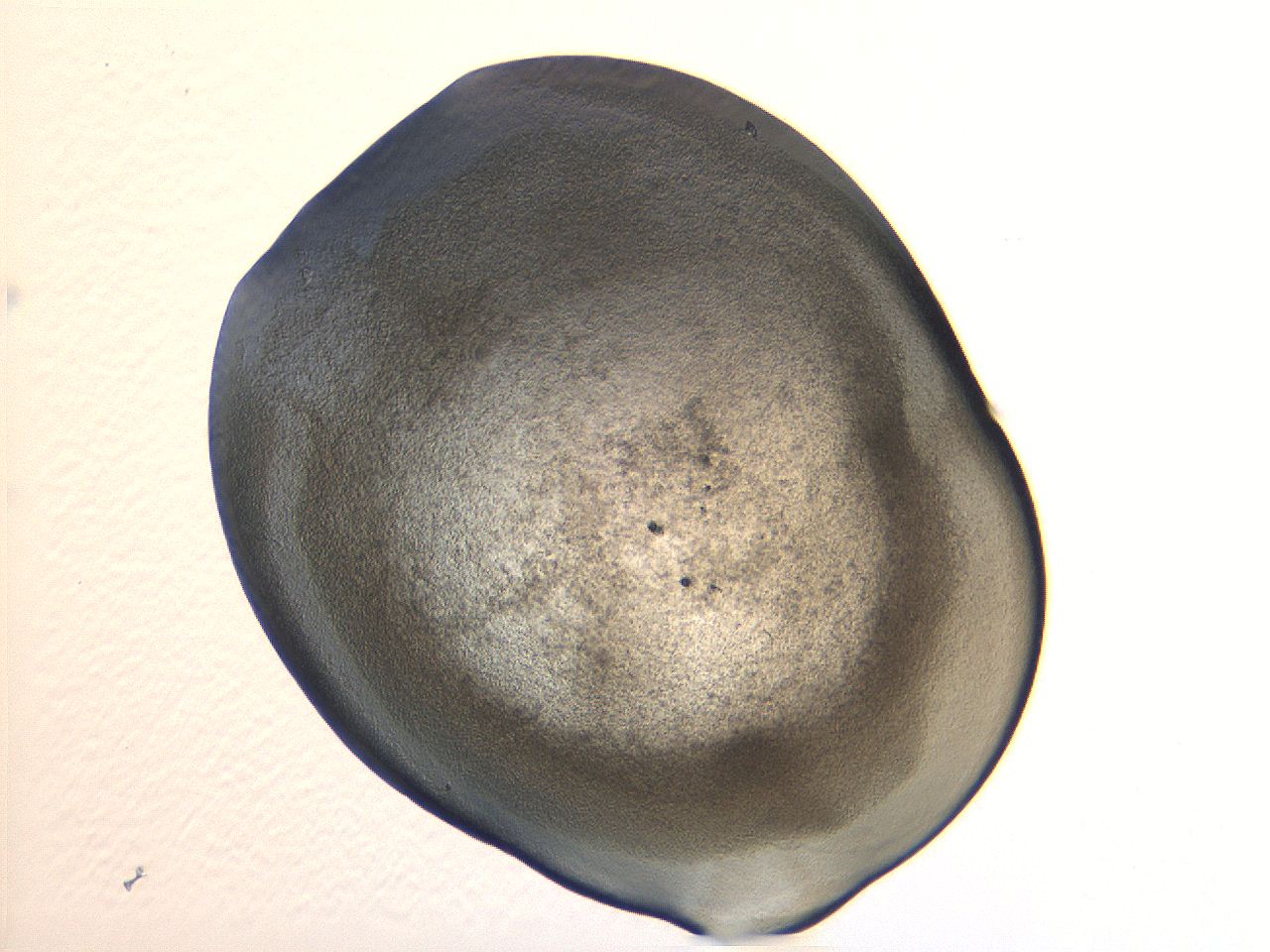 04i3_A2_ImagerDefaults_3.jpg