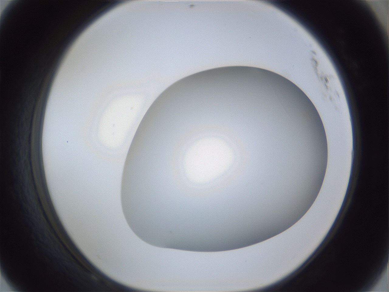 folderID33_plateID1033_batchID1845_wellNum68_profileID1_d1_r44970_ef.jpg