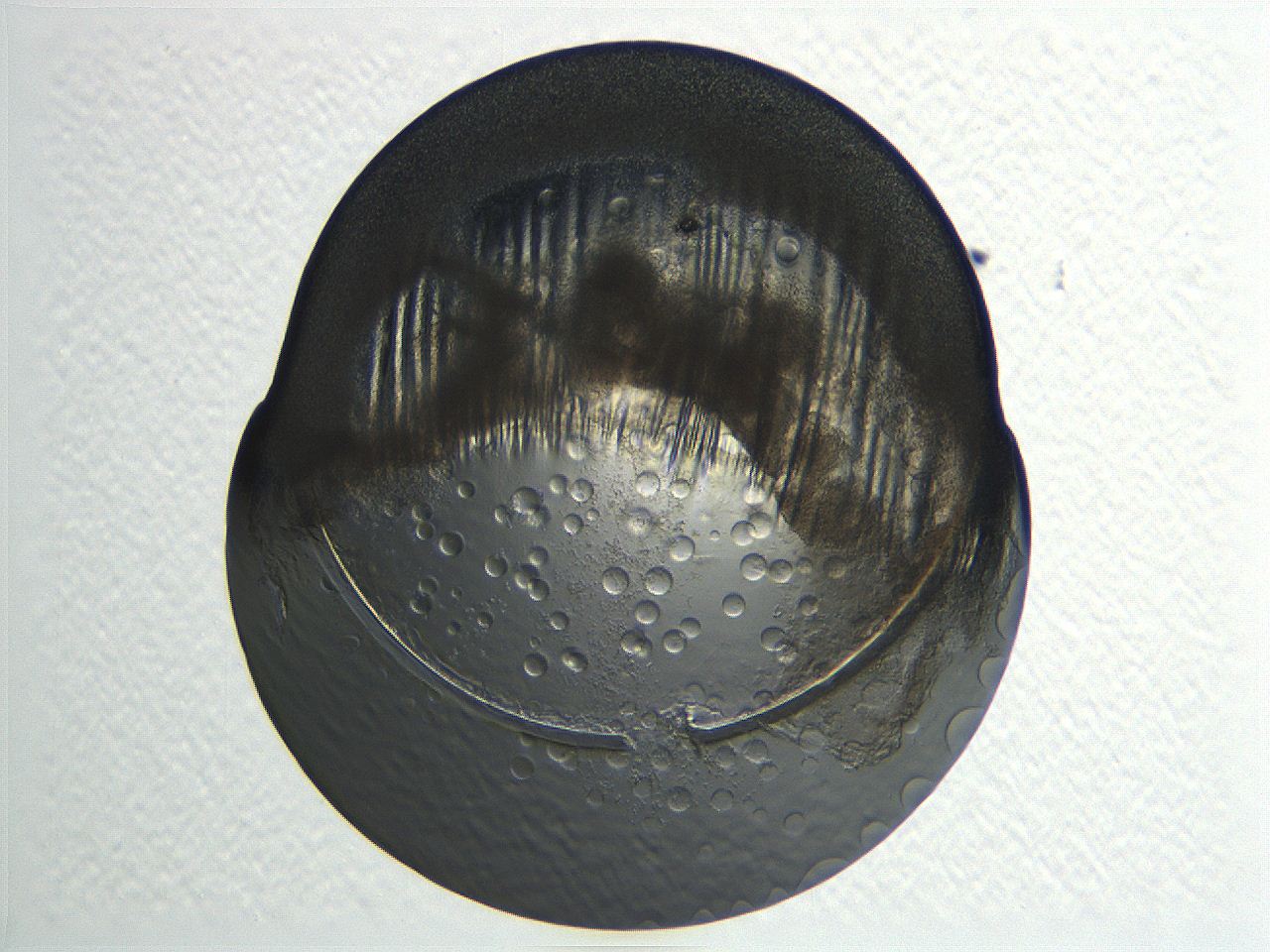 04i3_C12_ImagerDefaults_3.jpg