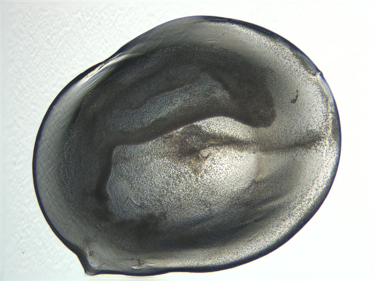 04i3_D1_ImagerDefaults_3.jpg