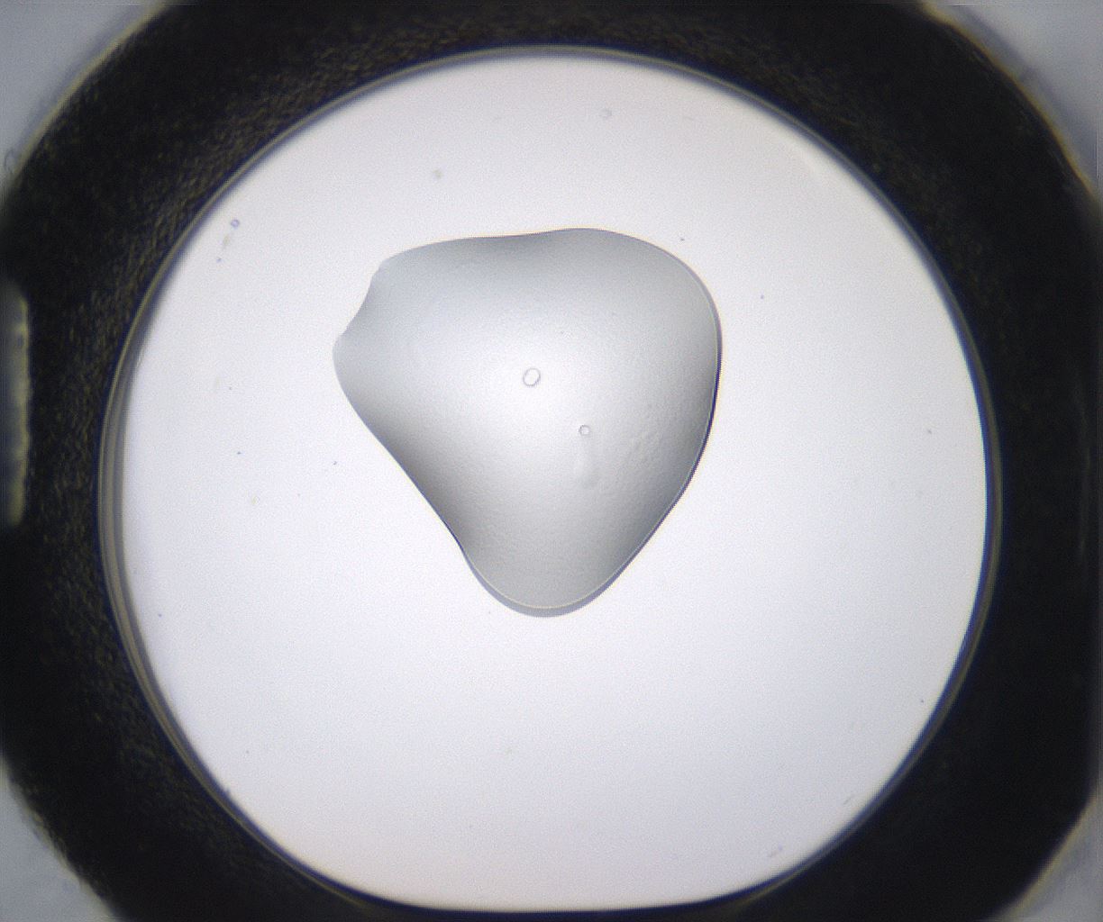 folderID344_plateID3344_batchID19596_wellNum88_profileID1_d1_r295485_ef.jpg