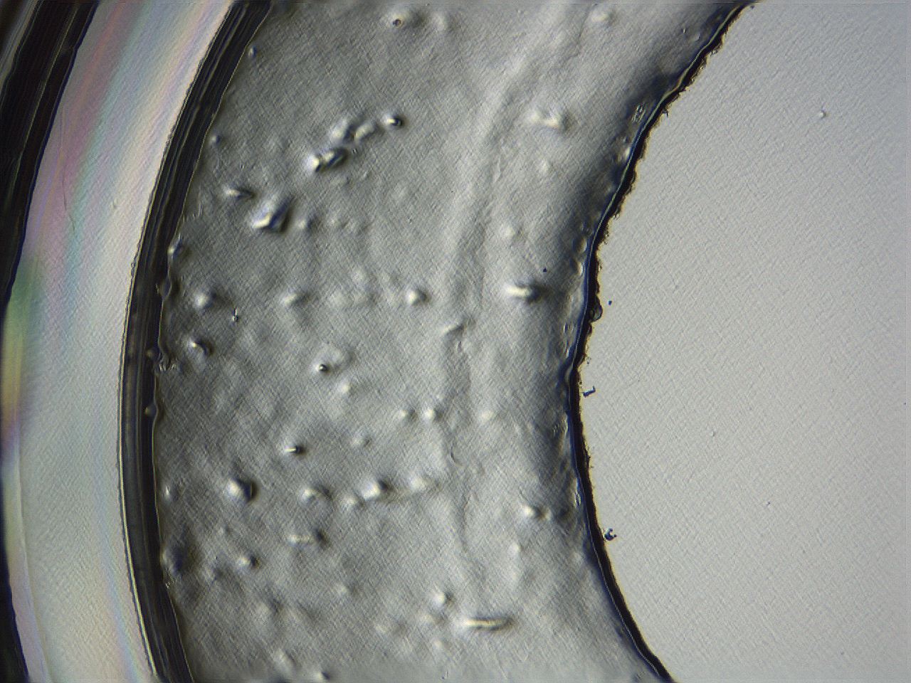 04i3_D6_ImagerDefaults_3.jpg