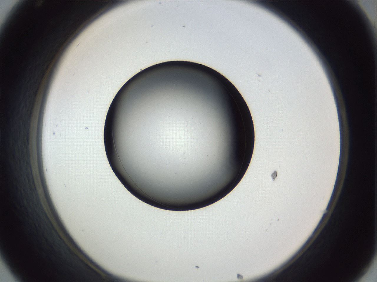 folderID345_plateID1345_batchID4544_wellNum32_profileID1_d1_r80998_ef.jpg