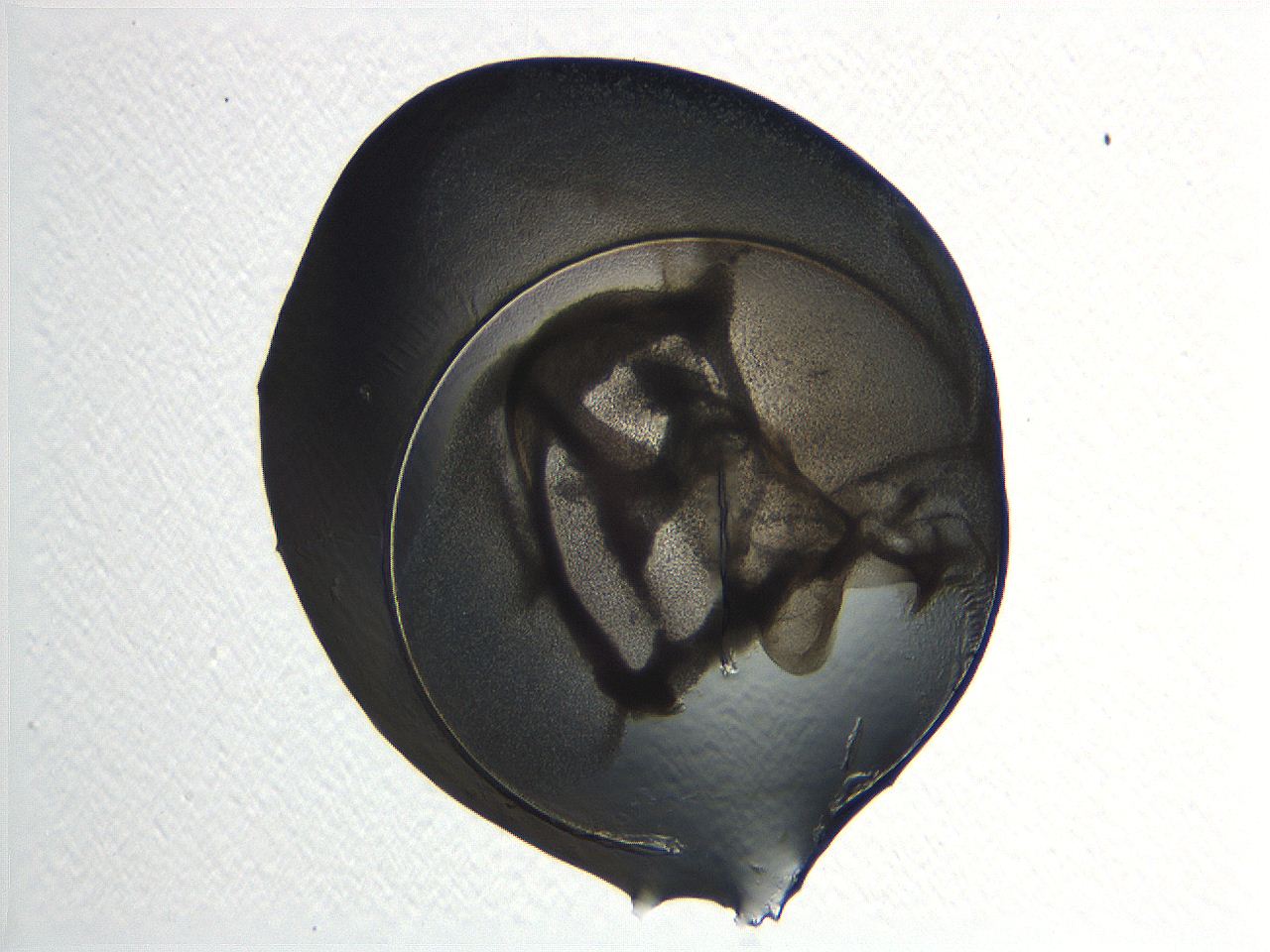 04i3_D7_ImagerDefaults_3.jpg