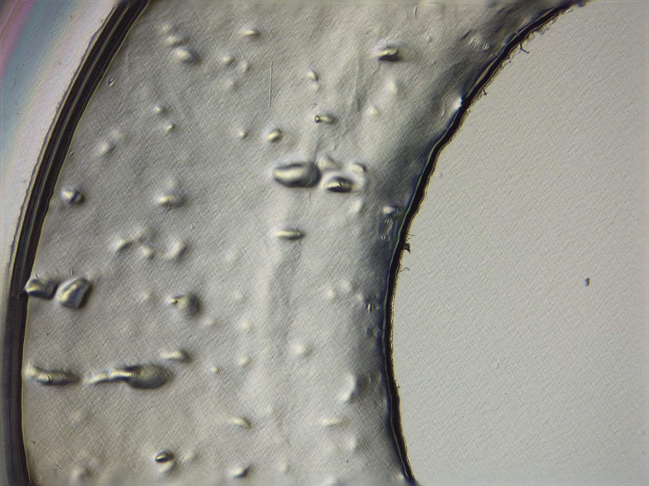 04i3_D9_ImagerDefaults_3.jpg