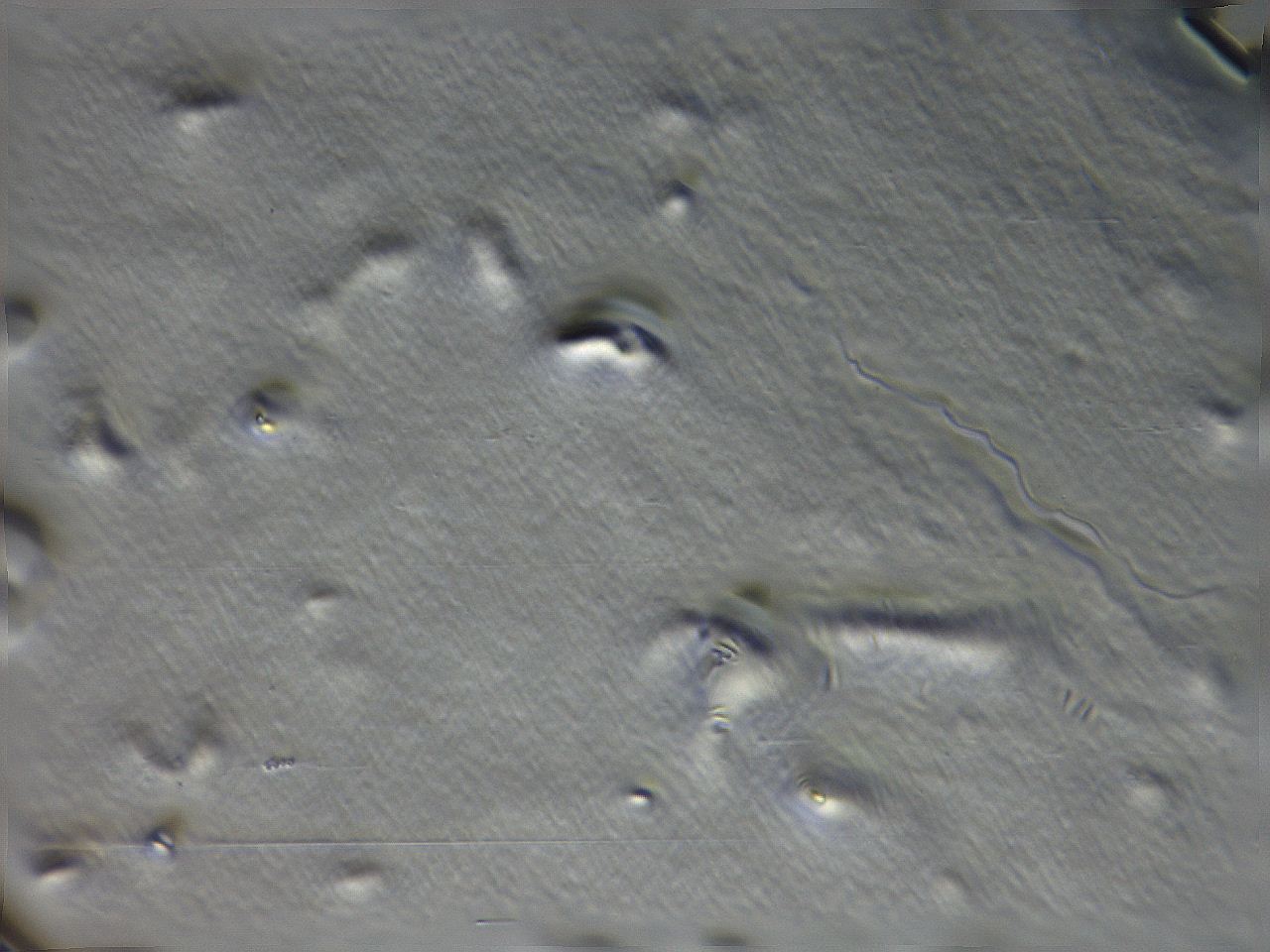 04i3_D10_ImagerDefaults_3.jpg